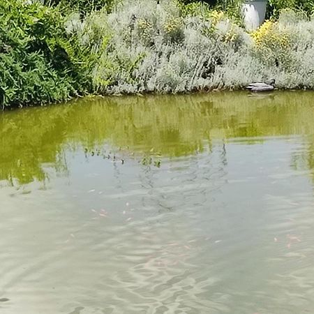 Domaine Le Lanis Chambre D'Hotes Piscine Spa Privatise Sur Reservation Saint-Girons  Buitenkant foto