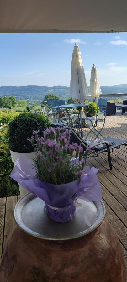 Domaine Le Lanis Chambre D'Hotes Piscine Spa Privatise Sur Reservation Saint-Girons  Buitenkant foto