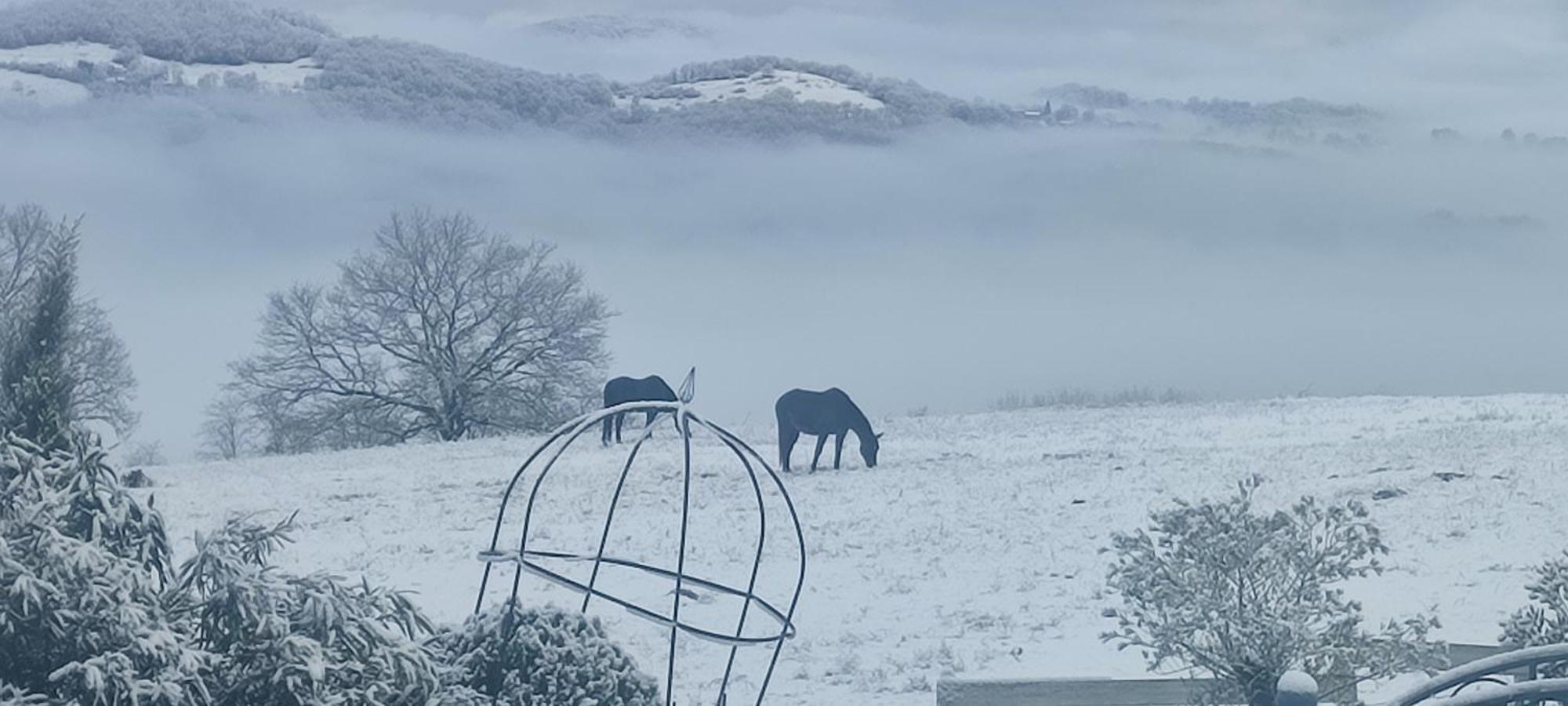 Domaine Le Lanis Chambre D'Hotes Piscine Spa Privatise Sur Reservation Saint-Girons  Buitenkant foto