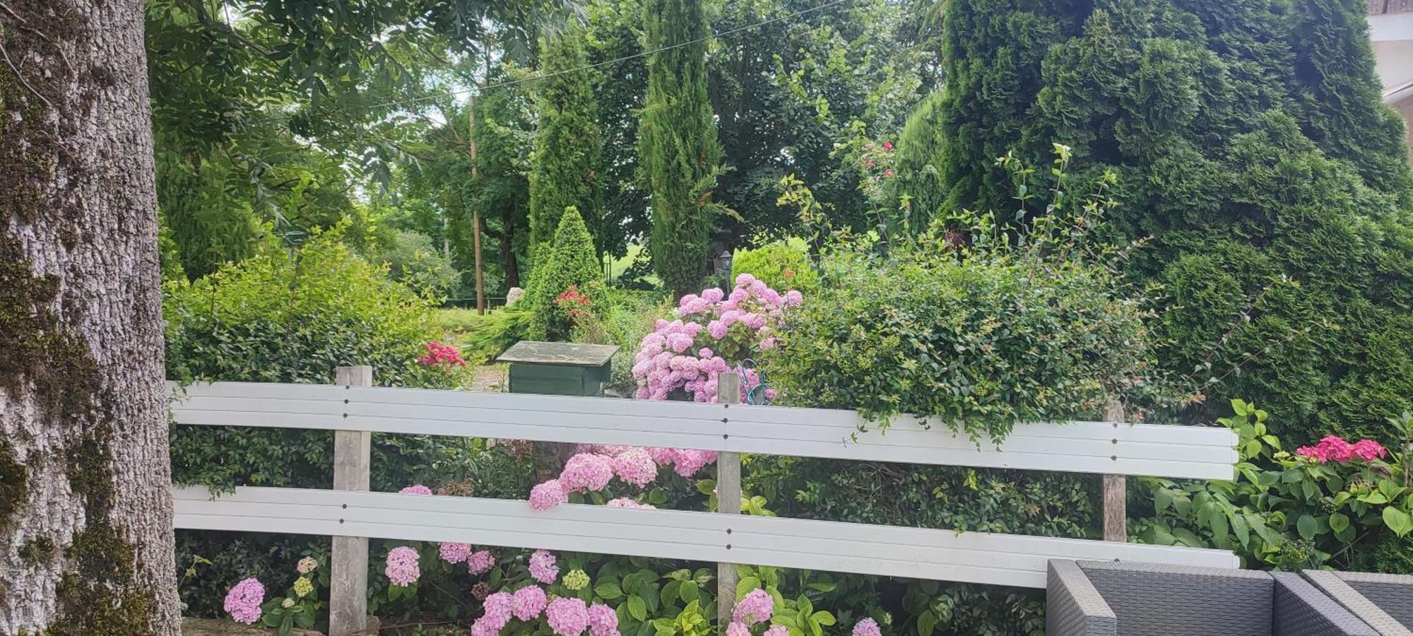Domaine Le Lanis Chambre D'Hotes Piscine Spa Privatise Sur Reservation Saint-Girons  Buitenkant foto